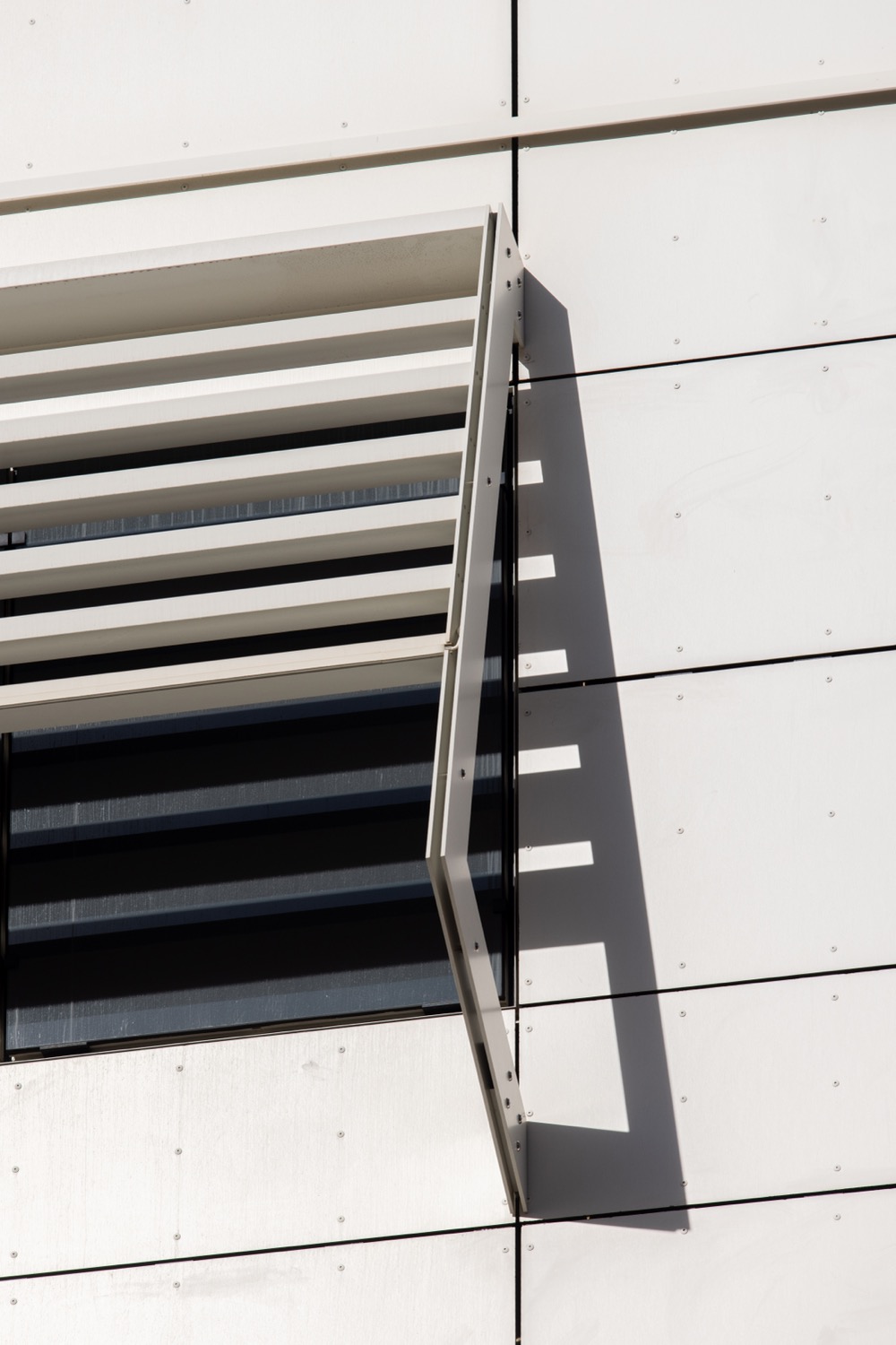 placeholder image-sq